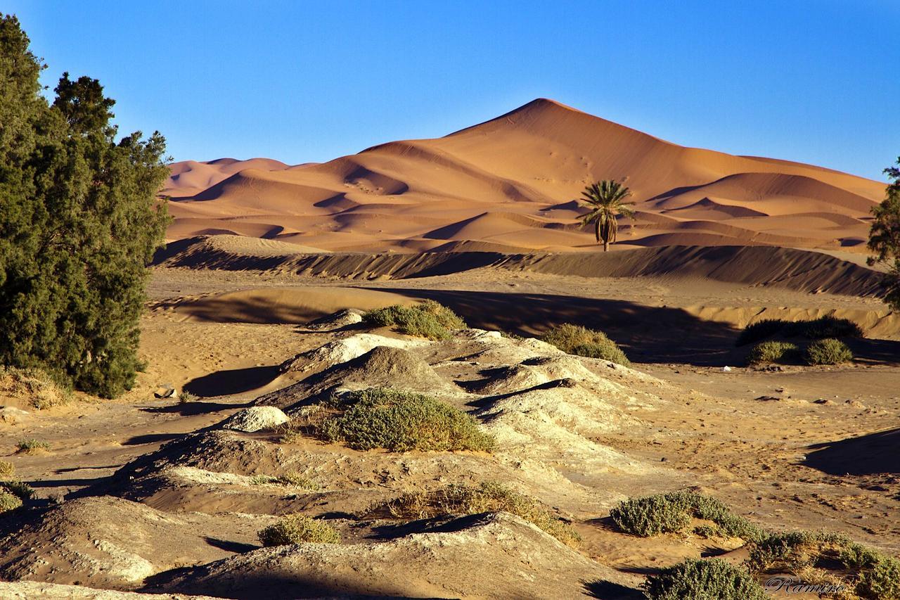 Riadsuerteloca Merzouga Hassilabied エクステリア 写真 The Sahara Desert